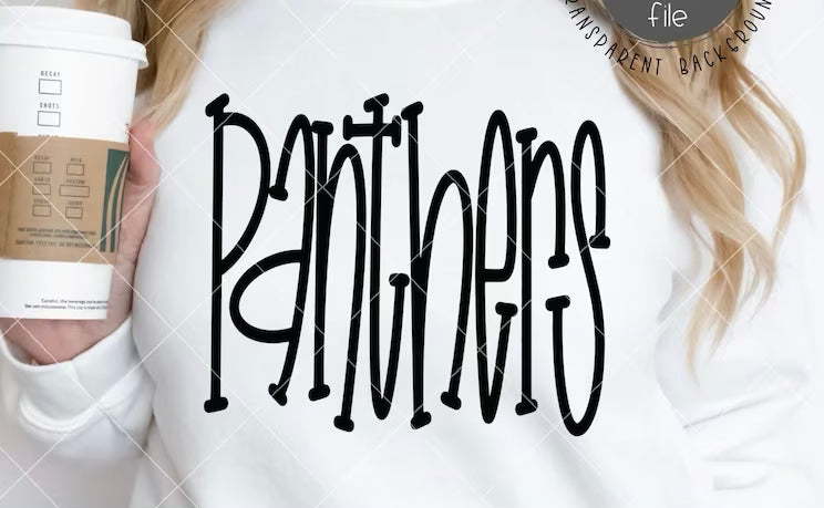 Panthers skinny font