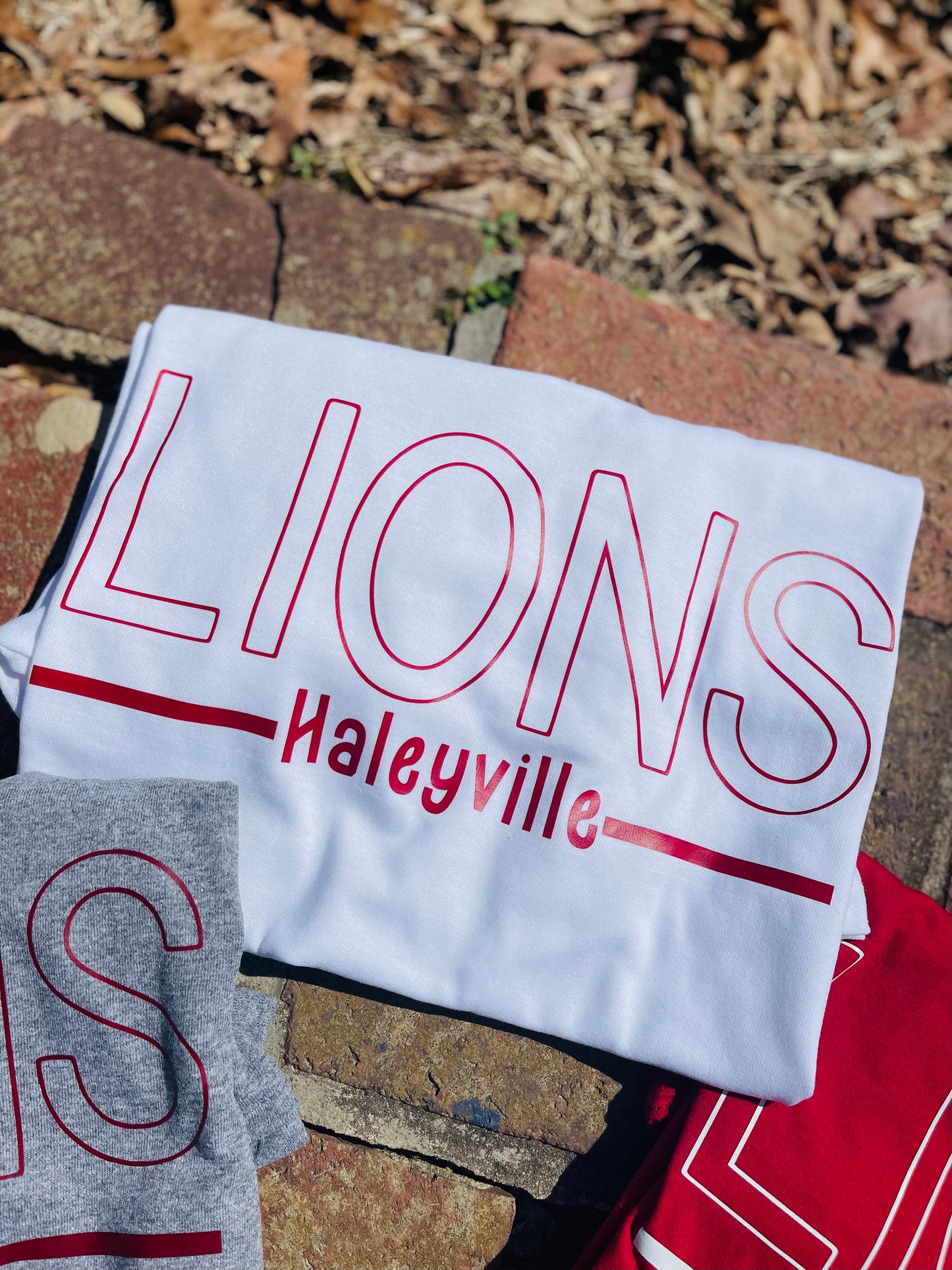 Lions -haleyville-