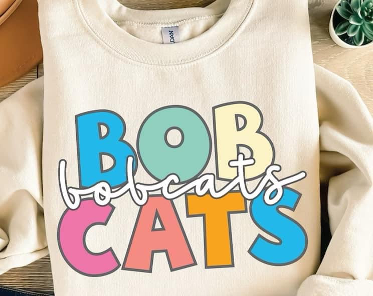 Bobcats- retro colorful