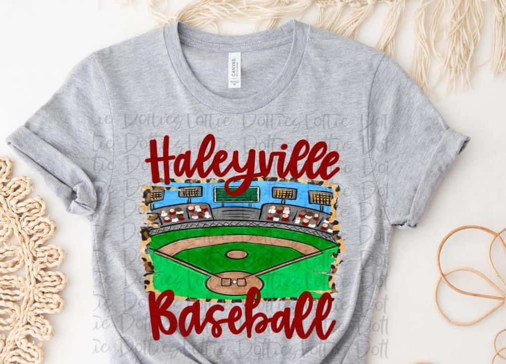 Haleyville Baseball Field