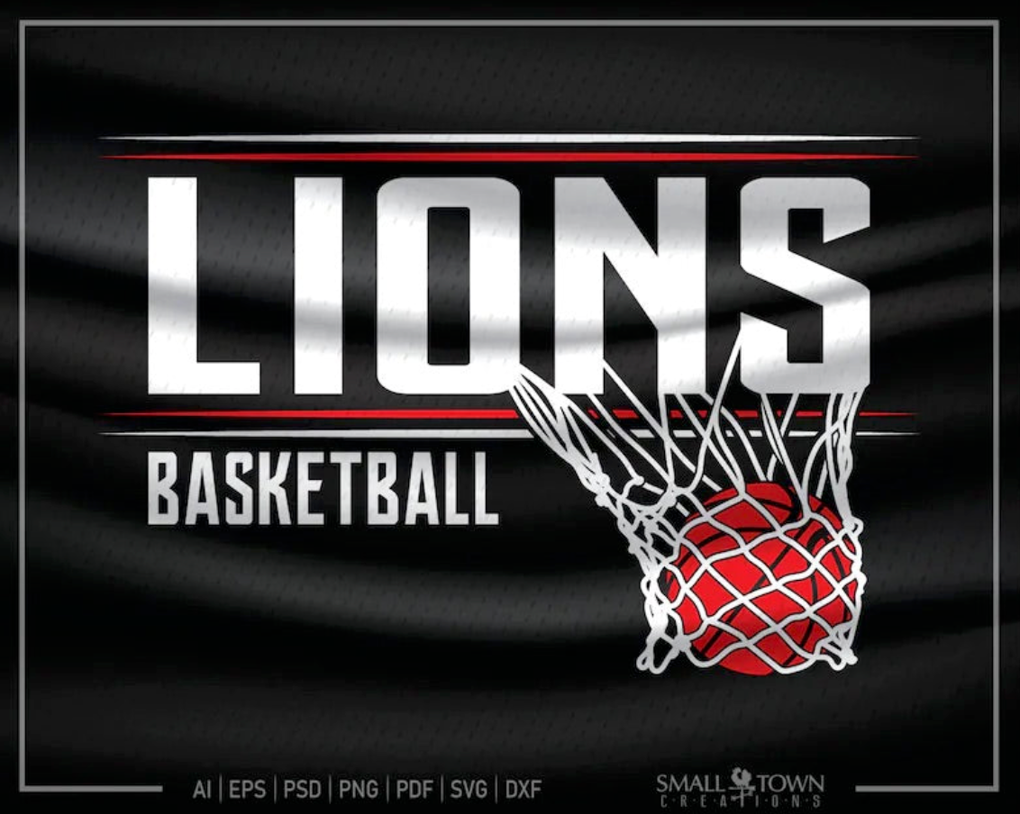 Lions Basketball Net #2