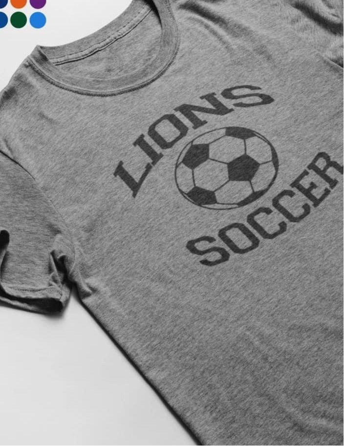 Lions soccer