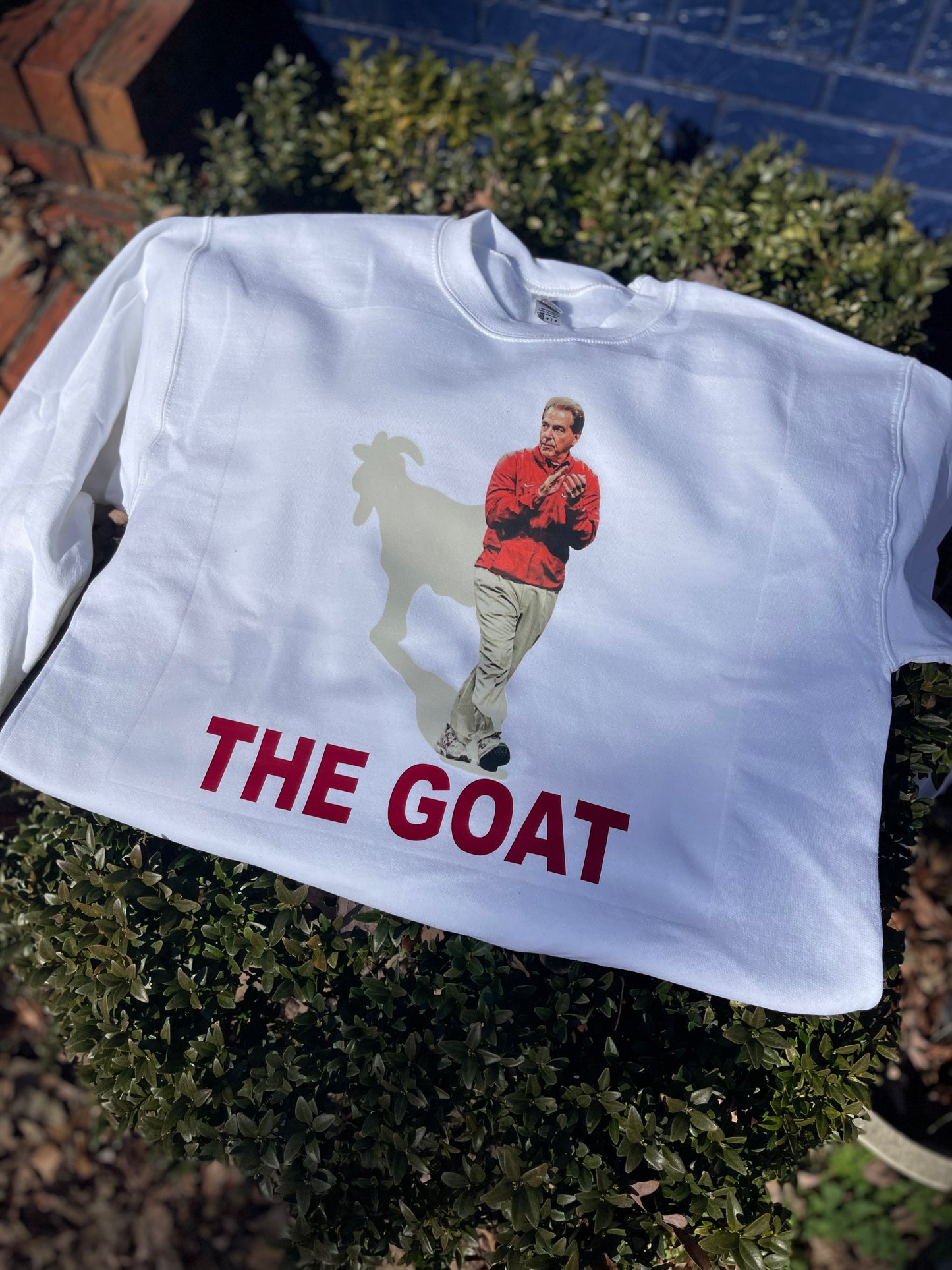 GOAT— NICK Saban shadow