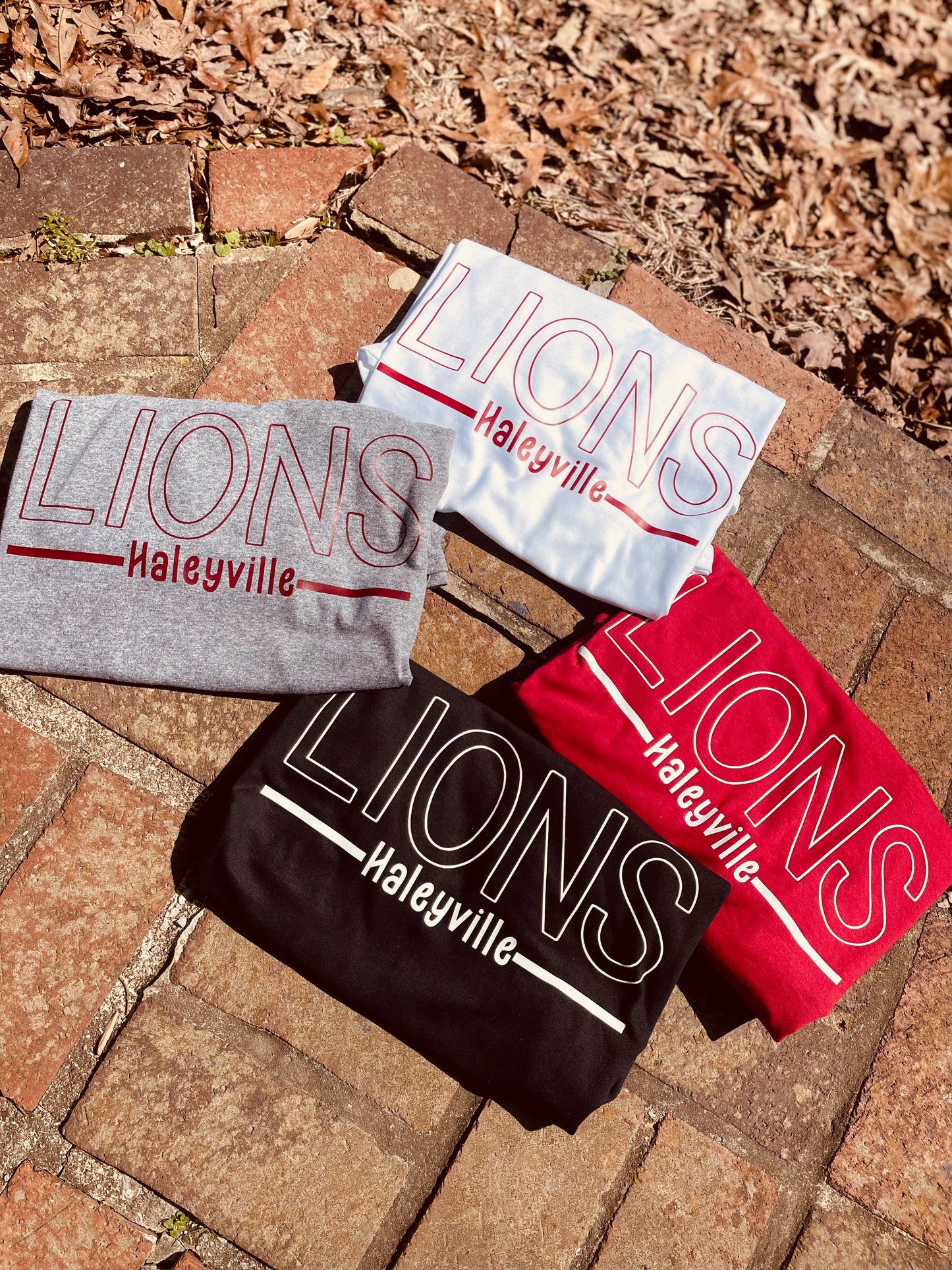 Lions -haleyville-