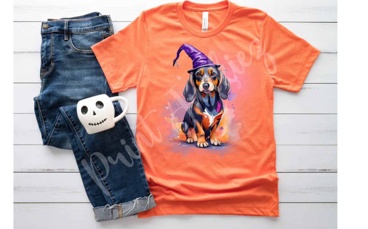 Halloweenie witch