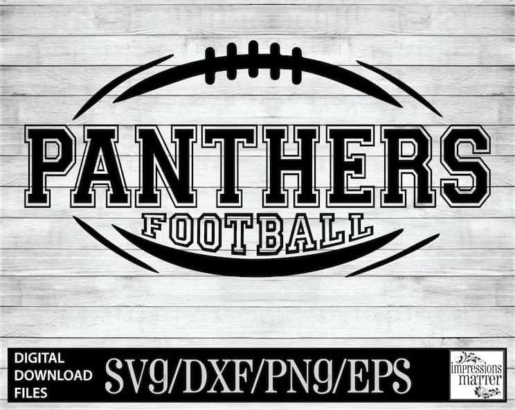 Panthers football