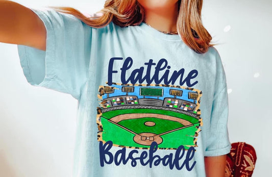 Flatline Baseball field