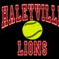 Haleyville lions softball