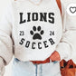 Lions soccer