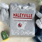 Haleyville basketball net
