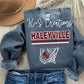 Haleyville basketball net