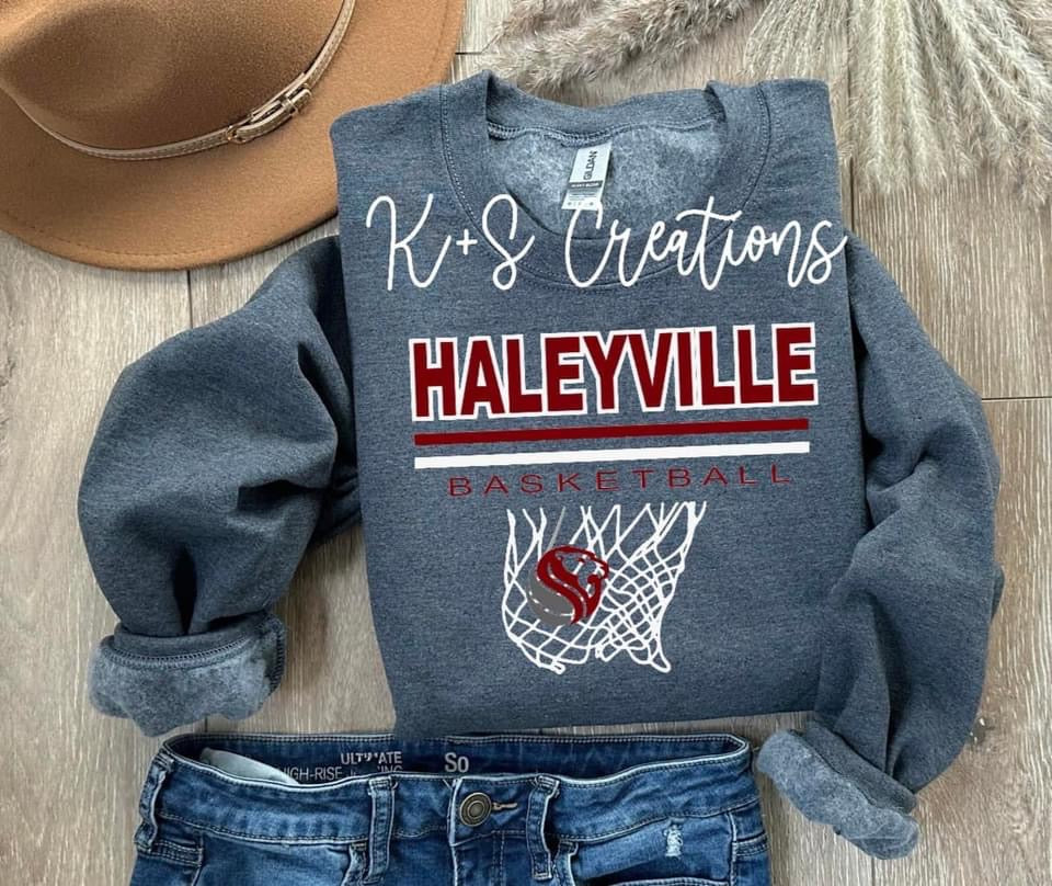 Haleyville basketball net