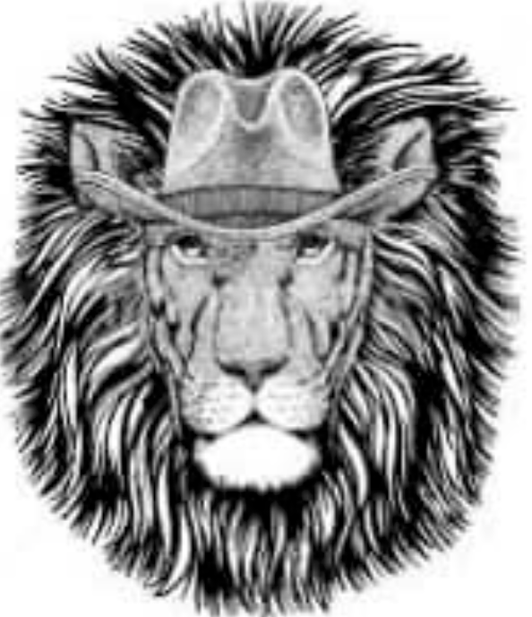 Lion w/ Cowboy Hat