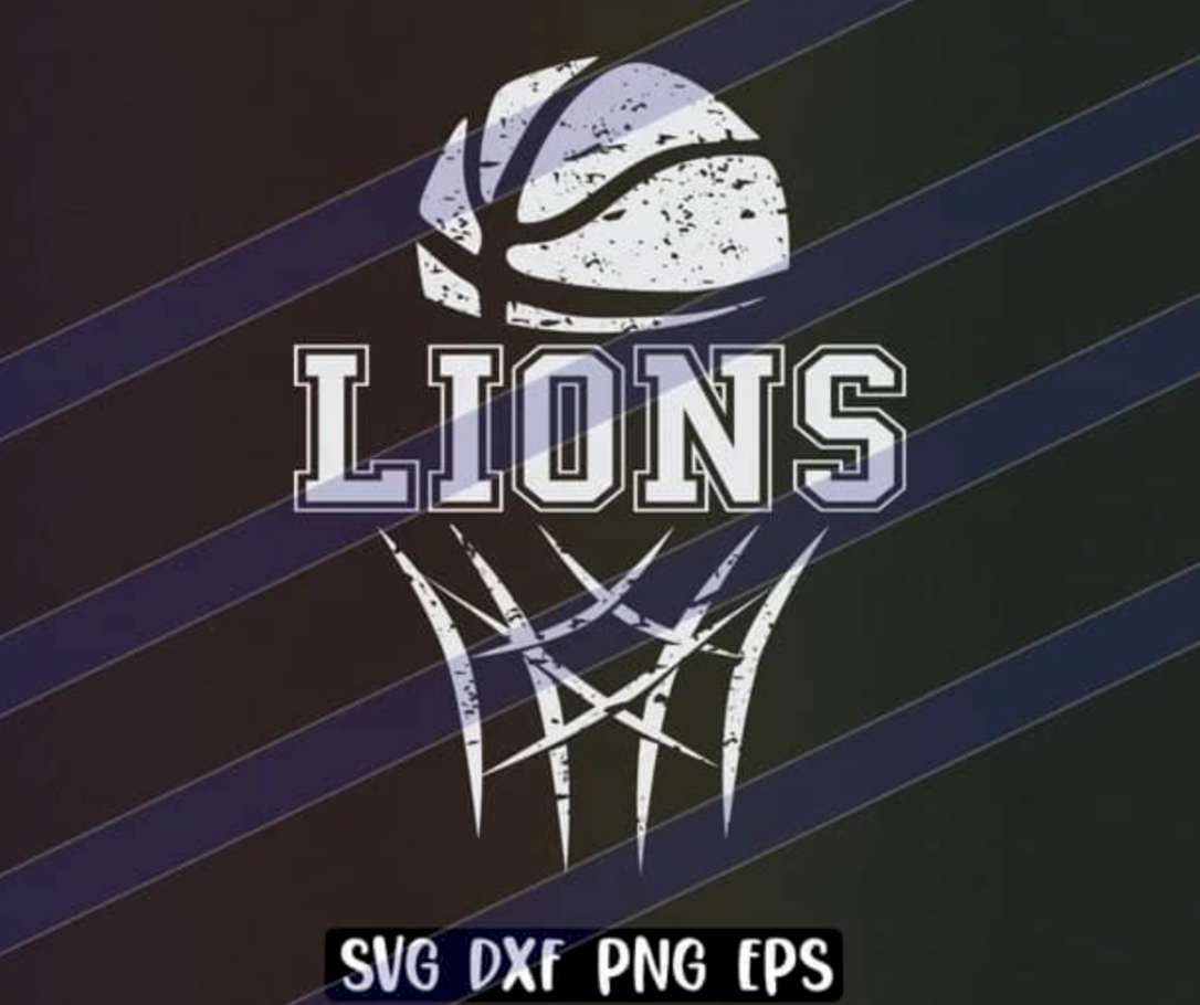 Lions Basketball Net