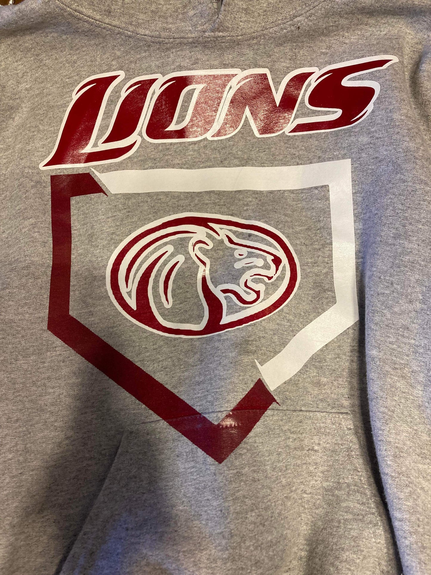 lions home plate