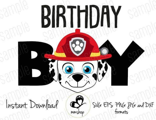 Paw patrol birthday boy