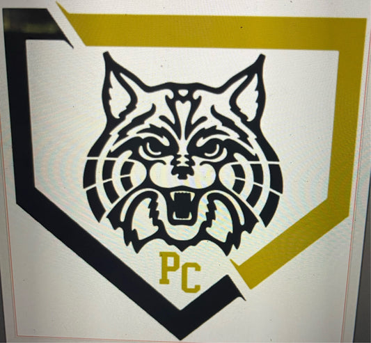 PC baseball
